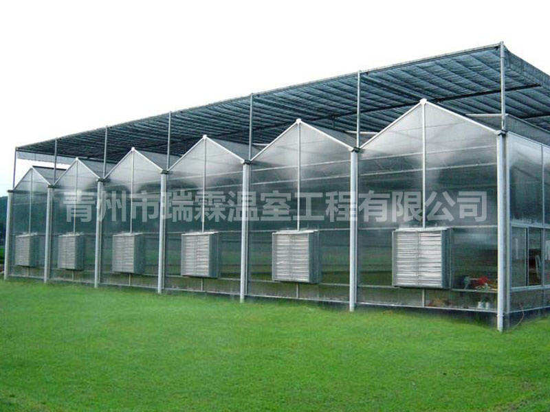 陽(yáng)光板溫室 (7)