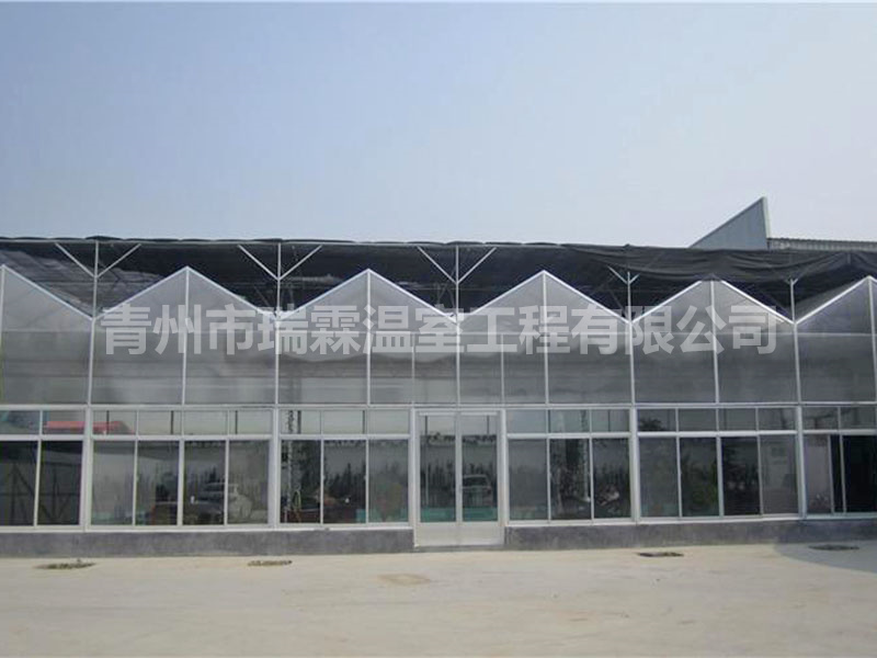 陽(yáng)光板溫室 (3)