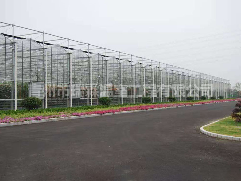 玻璃溫室大棚 (1)