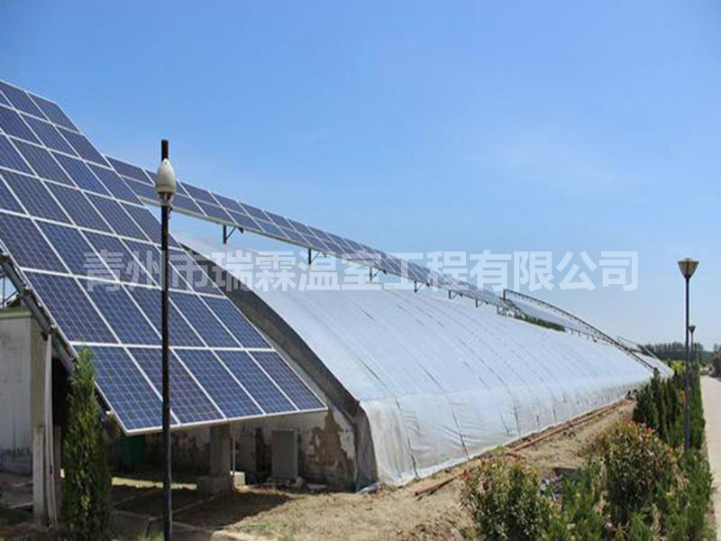 光伏溫室 (4)