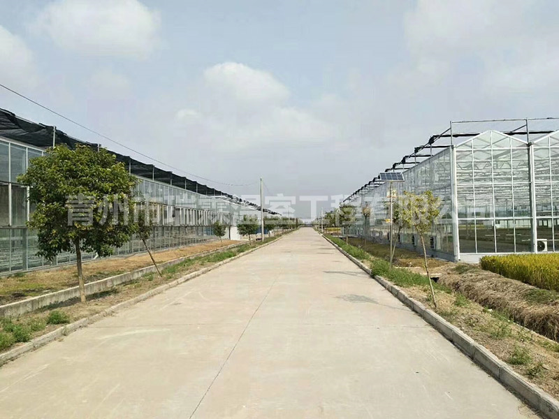 青島膠南生態(tài)園