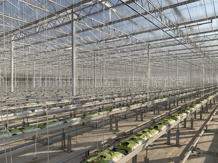 微信圖片_20220207171747(1)