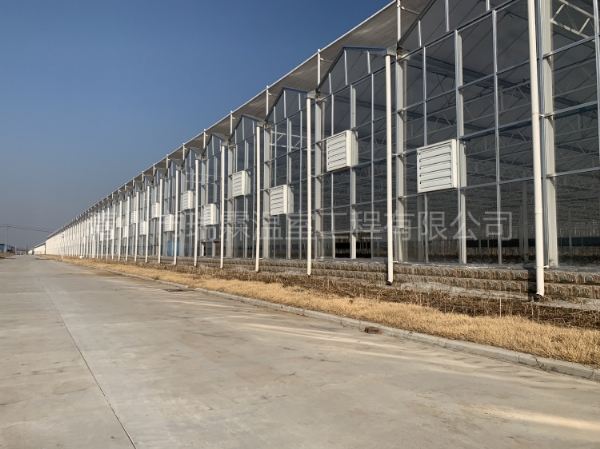 新疆喀什10064平紋絡(luò)玻璃溫室