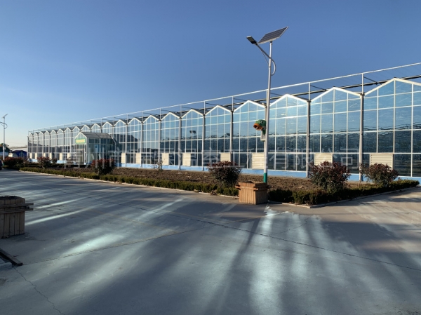 濰坊市青州市九州農(nóng)業(yè)科技園8864平