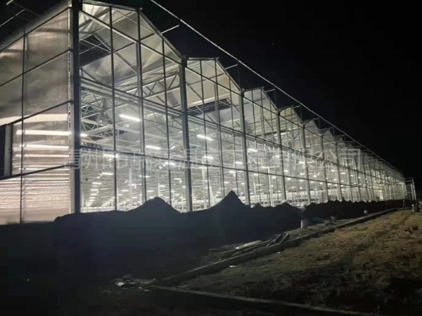 新疆阿克蘇8860平紋絡(luò)玻璃溫室