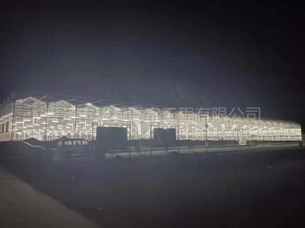 西藏拉薩7268平玻璃溫室