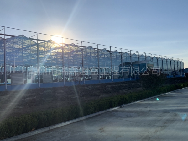 濰坊市青州市九州農(nóng)業(yè)科技園8864平