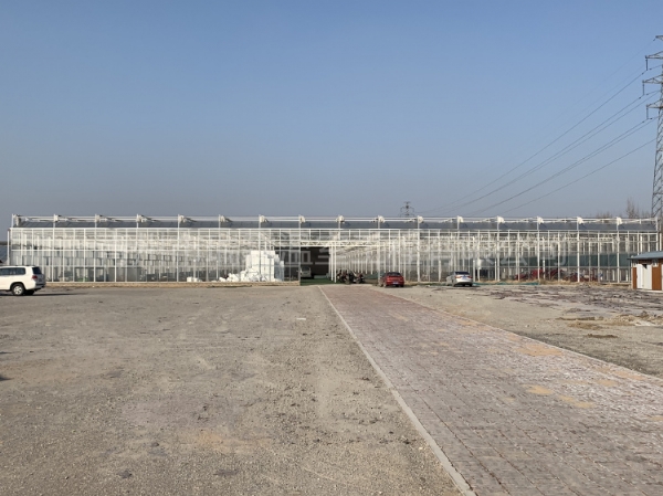 浙江麗水8426平玻璃溫室