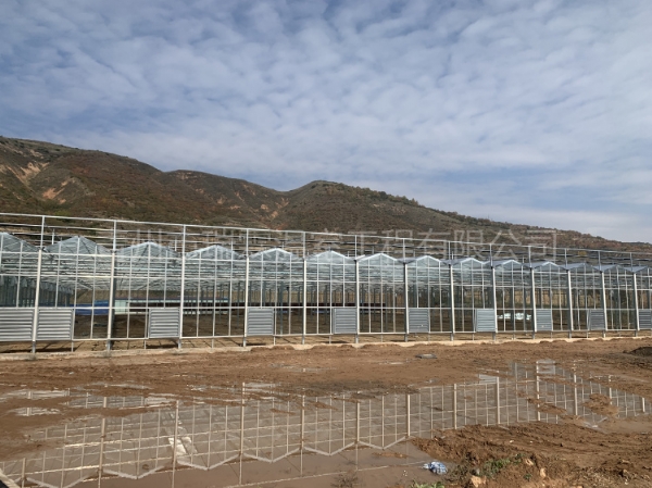 寧夏固原3260平玻璃溫室